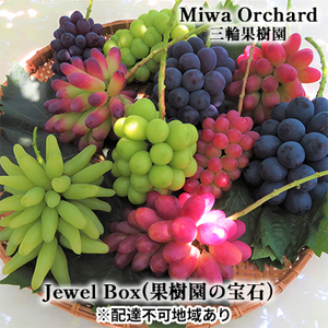 ぶどう 2026年 先行予約 ジュエルボックス 皮ごと食べることのできる 葡萄 4〜5品種 詰合せ 約2kg ブドウ 葡萄 岡山県 赤磐市産 国産 フルーツ 果物 ギフト 三輪果樹園 岡山のぶどう 食べ比べ