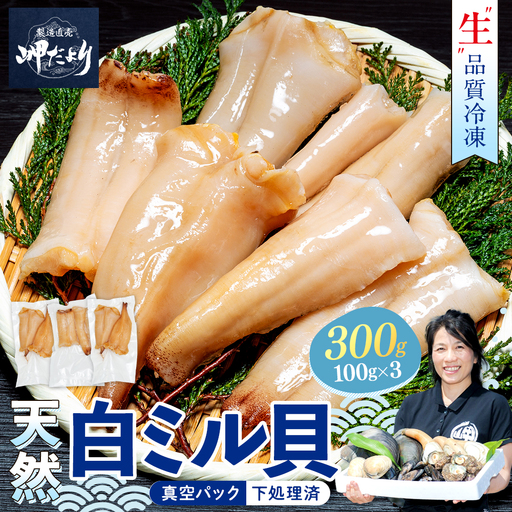 岬だより 貝専門店 天然 白ミル貝 100g×3袋 魚貝