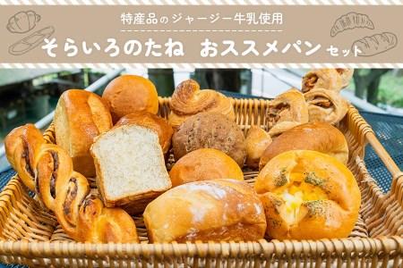 [そらいろのたね]手作りパンセット 詰め合わせ レーズン クロワッサン ジャージーミルク 木の実 チーズ クリーム セット 熊本 阿蘇 小国町 わいた 山川 人気 ハンドメイド 創業20年以上 老舗 ツリーハウス 冷凍 おすすめパンセット