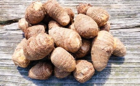 里芋 野菜 白芽大吉 ゆうき自然農場 里芋【5kg】