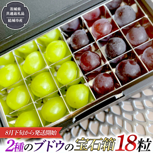 2種類 の ブドウ の 宝石箱 18粒 【2026年8月下旬から発送開始】 （茨城県共通返礼品 [ぶどう]：結城市産） ギフト 贈答 フルーツ 果物