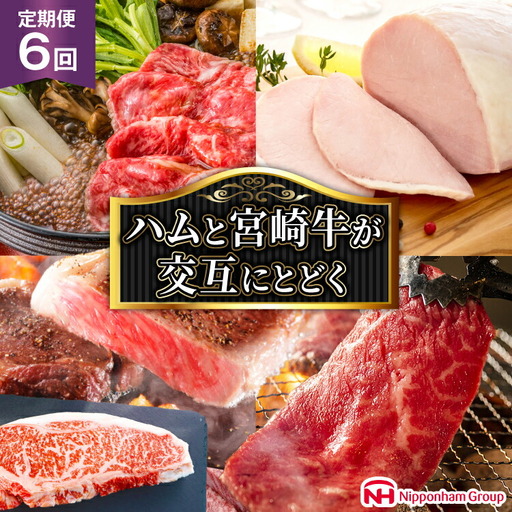 【定期便 6回】 日本ハム 宴の彩りハムと 宮崎牛が交互に届く