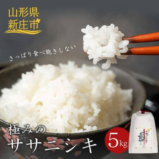 【令和8年産米先行予約】極みの ササニシキ 精米 5kg 新米  F3S-2852