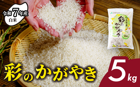 米 令和7年産 彩のかがやき 5kg | 白米 米 桜国屋