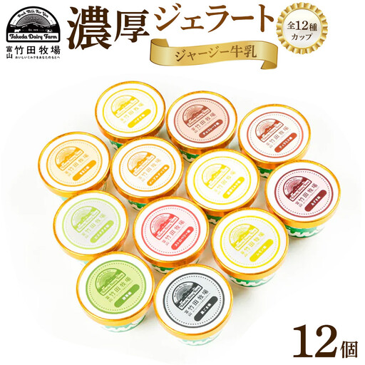 ジャージー牛乳の濃厚ジェラート！竹田ジェラート |全12種類|カップ