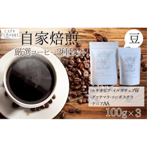 【自家焙煎】カフェ・フランドル厳選コーヒー3種セット（100g×3・豆） 2025/9/19～