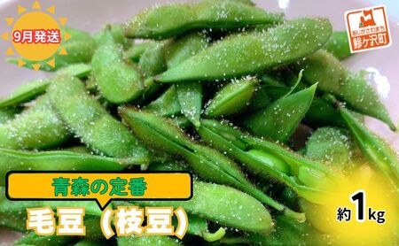[ 2026年産 数量限定 ]青森の定番 毛豆 約1kg[9月発送]青森県鰺ヶ沢町産 ※オンライン決済のみ 野菜 枝豆 大粒 甘みが強い 豊かな香り コク ほっくり おつまみ 料理 お弁当 食材