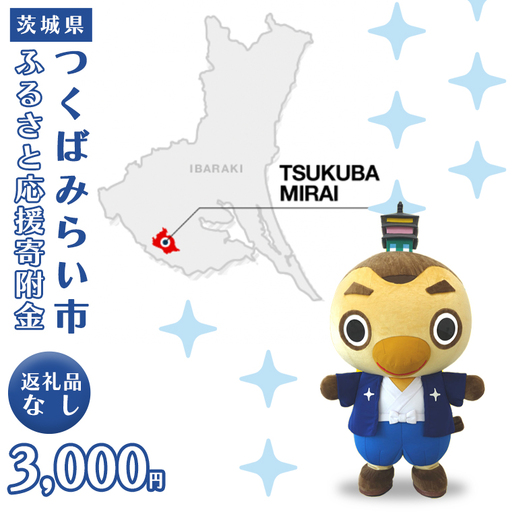 【返礼品なし】茨城県つくばみらい市ふるさと応援寄附金（3,000円)