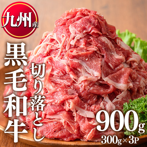 九州産 黒毛和牛 牛肉 切り落とし 計900g 300g×3P LRプラスK No.1015 