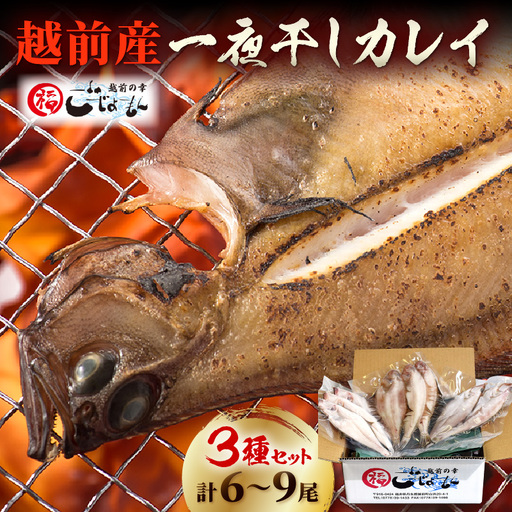 越前産 かれい「一夜干しカレイ3種セット(合計6〜9尾)」[かれい カレイ 鰈] [e15-a001]