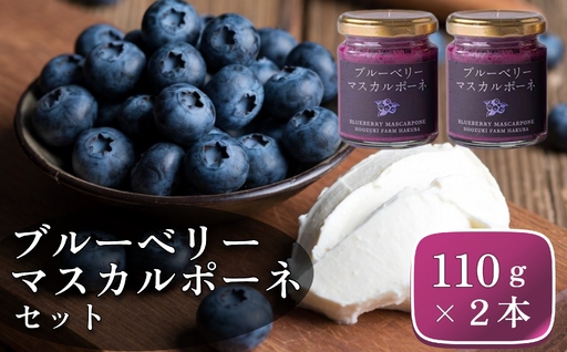 ブルーベリーマスカルポーネセット 110g×2本[A0007-09]