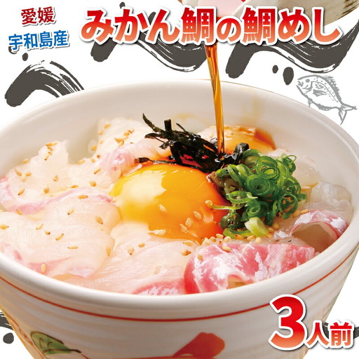 真鯛 みかん 鯛めし 3人前 和日輔 郷土料理 D010-091003