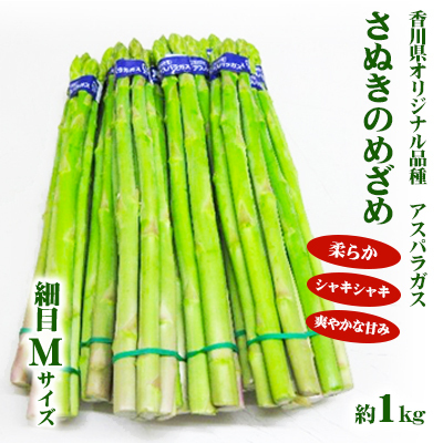 アスパラガス さぬきのめざめ 細目 Mサイズ アスパラガス【約1kg 約100g×10束】 【46311694】