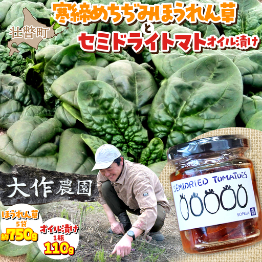 ＜2026年12月上旬頃よりお届け＞北海道壮瞥産 大作農園の「寒締めちぢみほうれん草」5袋と「セミドライトマトオイル漬け」1瓶（110g）のセット SBTR007