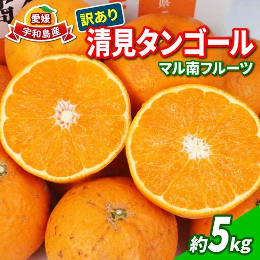 訳あり 清見タンゴール きよみ 5kg マル南フルーツ 清見オレンジ きよみ B010-106024