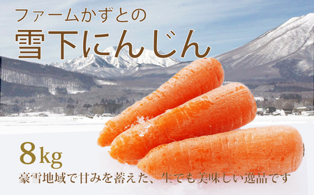 【1月～2月発送】生で食べられる 雪下にんじん〈積雪期限定〉標高900m 農場直送 雪まち野菜（8kg）ファームかずと【長野県信濃町】