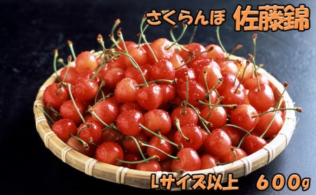 さくらんぼ 600g 佐藤錦 Lサイズ以上 サクランボ