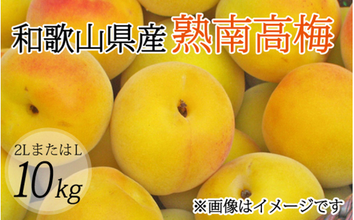 【梅干・梅酒用】（2LまたはL－10Kg）熟南高梅 秀優混合 / フルーツ 果物 くだもの 食品 人気 おすすめ 送料無料 ※2027年6月上旬～7月上旬頃順次発送予定 ※沖縄・離島への配送不可 【art011C】