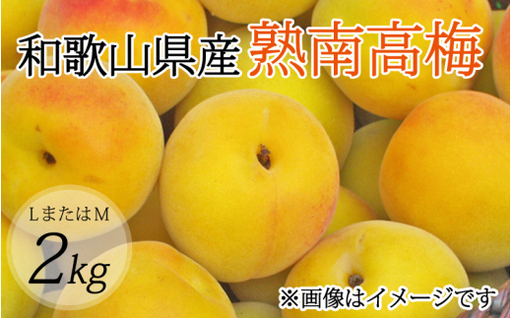 【梅干・梅酒用】（LまたはM－2Kg）熟南高梅 秀優混合 / フルーツ 果物 くだもの 食品 人気 おすすめ 送料無料 ※2027年6月上旬～7月上旬頃順次発送予定 ※沖縄・離島への配送不可 【art012B】