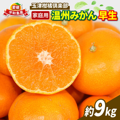 【ご家庭用】早生温州9kg玉津柑橘倶楽部みかん|B010-072001