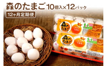 森のたまご（白） 120個12ヶ月定期便 10個入り×12パック もりたま 新鮮 鶏卵 玉子 高級 ブランド卵 卵かけご飯 卵かけごはん たまごかけご飯 卵焼き たまご焼き 玉子焼き 目玉焼き ゆで卵 健康 栄養 DHA ビタミンE 安心安全 コクとうまみが愛されるロングセラーブランド・森のたまごを12か月間・毎月お届け 22-I