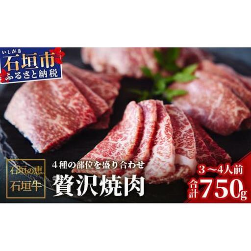 石垣の恵 石垣牛 贅沢焼肉(4種盛)【合計750g】　KB-100