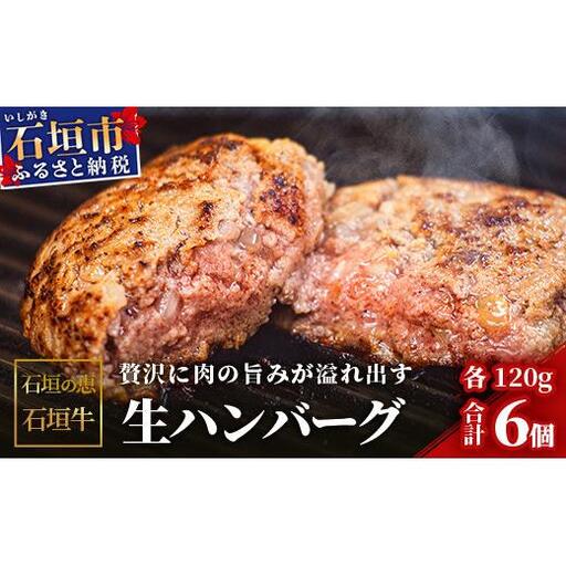 石垣の恵 石垣牛 生ハンバーグ6個【合計720g】KB-101