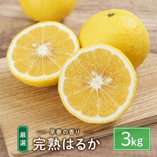 完熟はるか 3kg ドルチェみかん