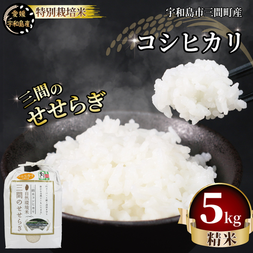 特別栽培米 三間のせせらぎ 三間町産 コシヒカリ 5kg 渡辺農園 ご飯 美味しい G014-117001