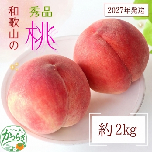 桃 [農園直送]朝採れ和歌山の桃 約2kg・秀品[2027年6月下旬〜2027年8月上旬頃に順次発送予定][TM167][TM005-tec910B]