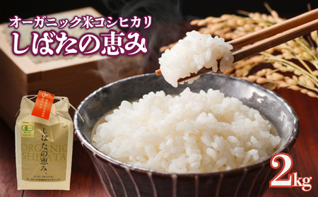米 コシヒカリ 新潟県産 オーガニック米コシヒカリ 2㎏ 令和7年産 新潟県産 米 コシヒカリ 有機米 有機栽培 有機 オーガニック 2kg 新発田産 数量限定 D63_03