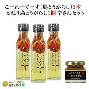 おきなわ晴家のこーれーぐーす（島とうがらし）3本/ねり島とうがらし1個 辛さんセット（CA002-1）
