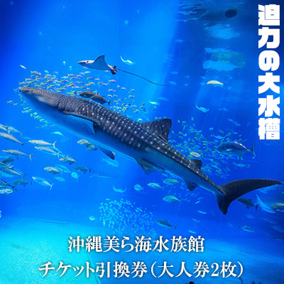 [迫力の大水槽]沖縄美ら海水族館 チケット引換券[大人券2枚]