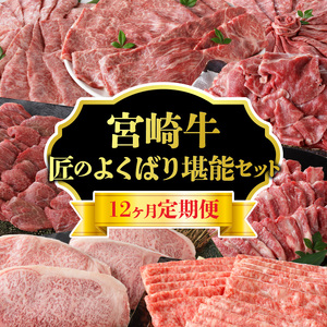 【定期便12回】宮崎牛 匠のよくばり堪能コース N0140-YI031