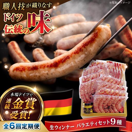 【全6回定期便】本場ドイツで連続金賞受賞！おすすめ ギフト セット ( ハム / ソーセージ / ウインナー )《糸島》【糸島手造りハム】[AAC014]