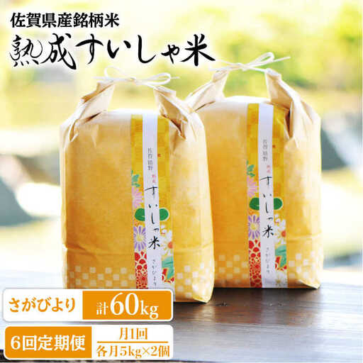 定期便 白米 令和7年産さがびより10kg NAO043 全6回 白米