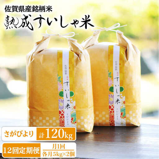 定期便 白米 令和7年産さがびより10kg NAO044 全12回 白米