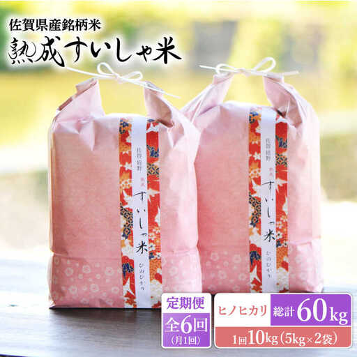 【定期便】 白米 令和7年産ヒノヒカリ10kg NAO061 全6回 白米