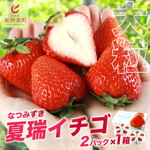 2026年発送☆[夏イチゴ]奇跡のひと粒「夏瑞」2パックセット