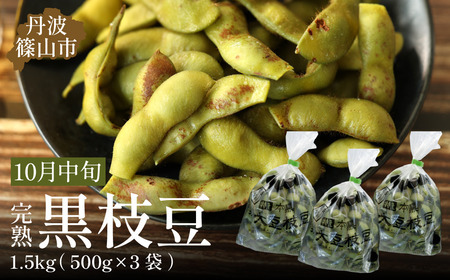 [早期予約/2026年10月中旬発送]令和8年産 丹波ふるさと村 丹波黒枝豆500g×3(枝なし) 大粒 黒枝豆 丹波篠山産