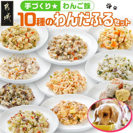 手づくり☆わんご飯『10種のわんだふるセット』〔AC-J501〕_(都城市) 犬用 手づくりご飯 鶏ごぼうご飯 サーモンリゾット すき焼き風ご飯 とまとスープご飯 ぶり大根 馬肉ッパ 牛しぐれ等 ペットフード