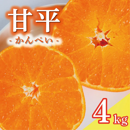 【甘平】 4kg かんぺい みかんの山祥 甘平