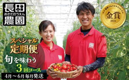 [4月〜6月の定期便]トマト好き全員集合 トマト・・3か月お届けパック 野菜ソムリエサミット 金賞 受賞 長田農園 産地直送 とまと 野菜 やさい フルーツ サラダ 濃厚 甘い ご褒美 プレゼント 美容 健康 リピート多数 人気 高評価 数量限定 碧南市