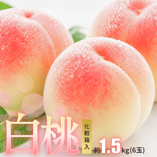 新見の白桃 約1.5kg 6玉 [先行予約 7月下旬から順次発送]