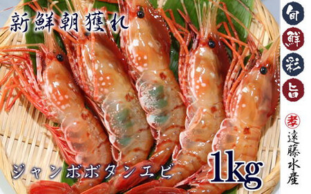 8-042-001 天然ジャンボボタンエビ 1kg(18尾〜24尾)