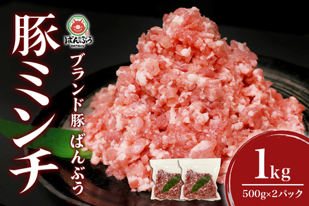 ブランド豚「ばんぶぅ」小分け ミンチ 1kg(500g×2パック) 冷凍便 1キロ たっぷり 豚肉 豚ミンチ 豚ひき肉 豚挽き肉 豚挽肉 キーマカレー ミンチカツ メンチカツ ハンバーグ 餃子 ギョウザ ぎょうざ シュウマイ 肉団子 ミートボール 麻婆 マーボー ぶた肉 ブタ肉 国産 茨城県産 ギフト プレゼント お祝い ご褒美 42-AQ