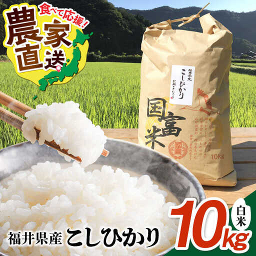 【令和7年度産】福井県産 こしひかり 白米 10kg / 米 白米 精米 小浜市 / お米のきたろう [BFBW001] 