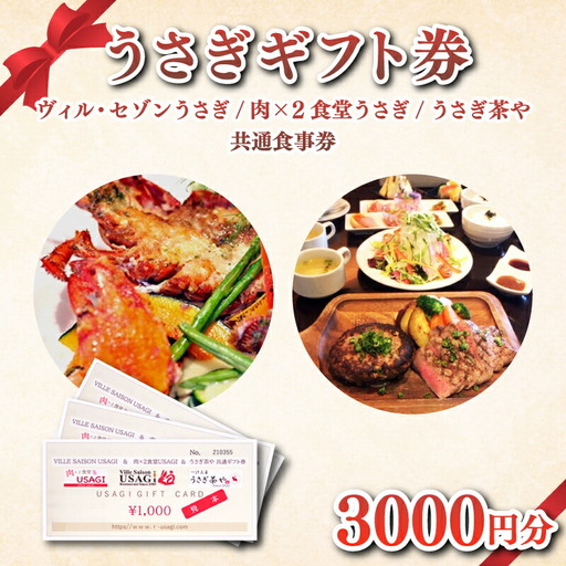 ウサギグループ 食事 券 ギフト 3,000円分 うさぎ 肉バル フレンチ レストラン ランチ 下関 山口 GC001