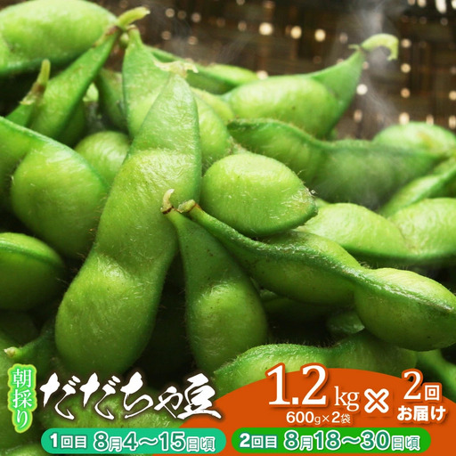 [2回定期便][令和8年産先行予約] 朝採り生だだちゃ豆 1.2kg(600g×2袋) 旬2回お届け (8月上旬、8月下旬) 山形県鶴岡市産 株式会社菜な八(鶴岡ファーマーズ)