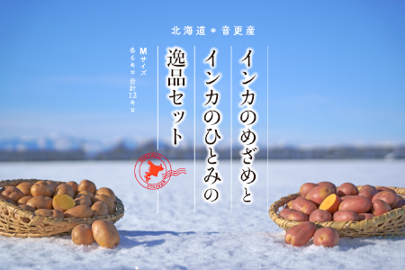 ［先行受付］インカのめざめとインカのひとみの逸品セット（Mサイズ）各6kg 合計12kg【C60】